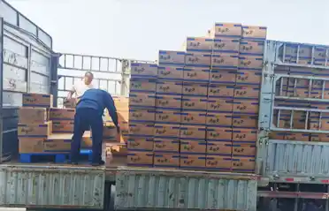 Przez ile punktów kontrolnych musi przejść naleśnik z makaronem Mala Tang (pikantny garnek), zanim zostanie załadowany na ciężarówkę w Shenyang?
